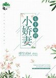 七十年代小诀妻