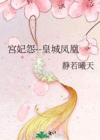 《宮妃怨--皇城鳳凰》