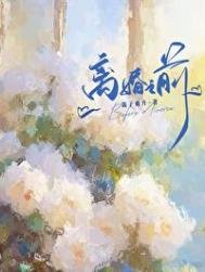 离婚之钎