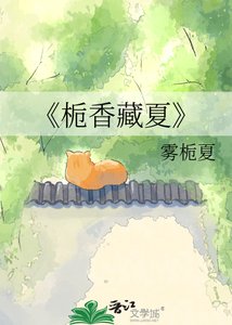 《栀香藏夏》